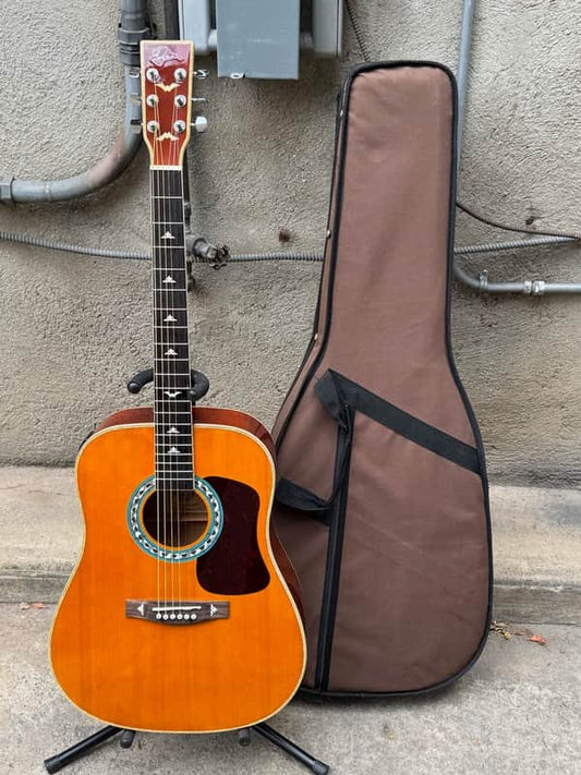 Esteban Turquoise Master Class Series T-300 Acoustic/Electric Guitar W/ Case