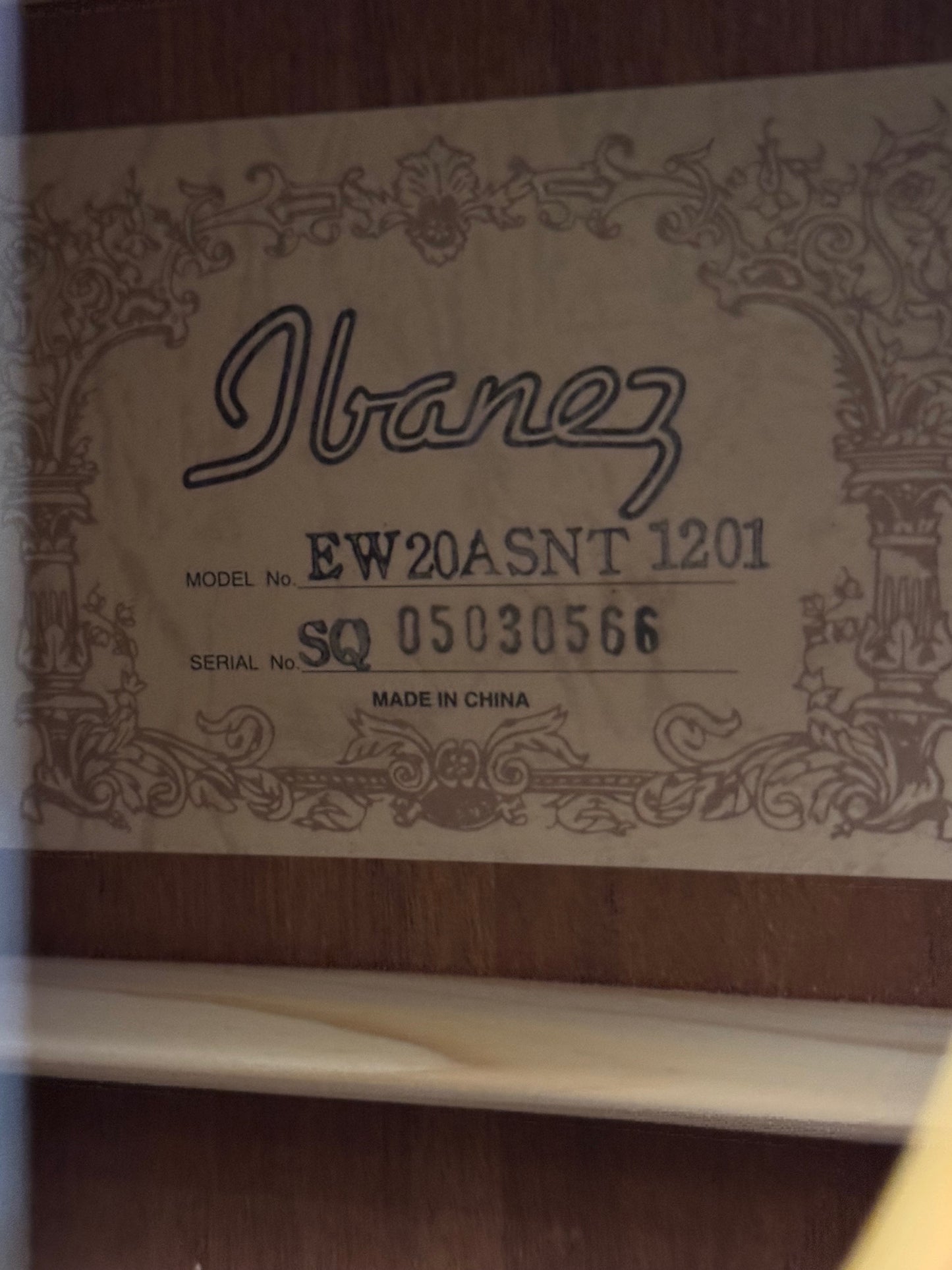 Ibanez EW20ASNT1201 Exotic Wood Series Acoustic Guitar